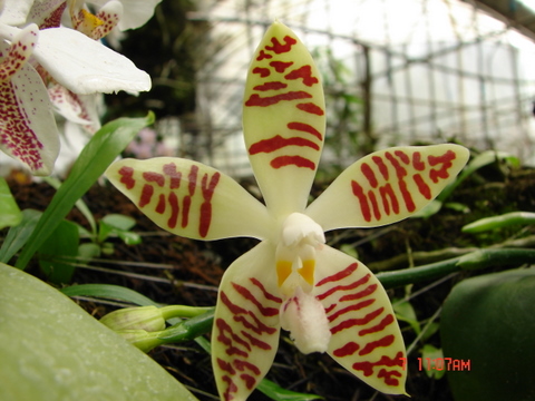 按此在新視窗瀏覽圖片