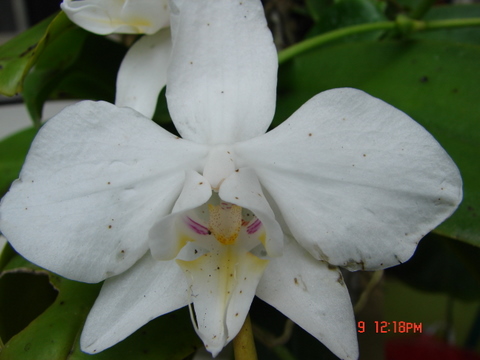 按此在新視窗瀏覽圖片