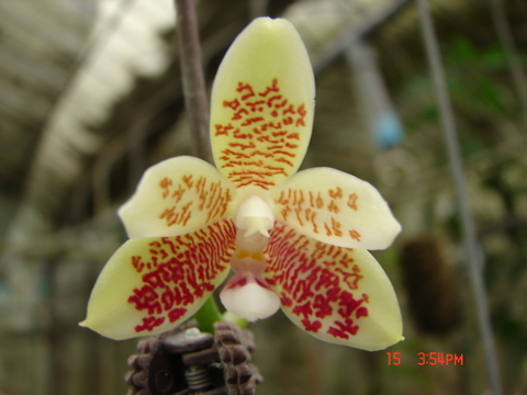 按此在新視窗瀏覽圖片