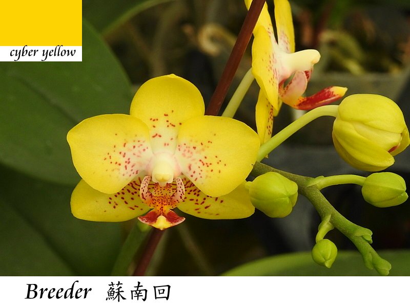 «ö¦¹¦b·sµøµ¡ÂsÄý¹Ï¤ù