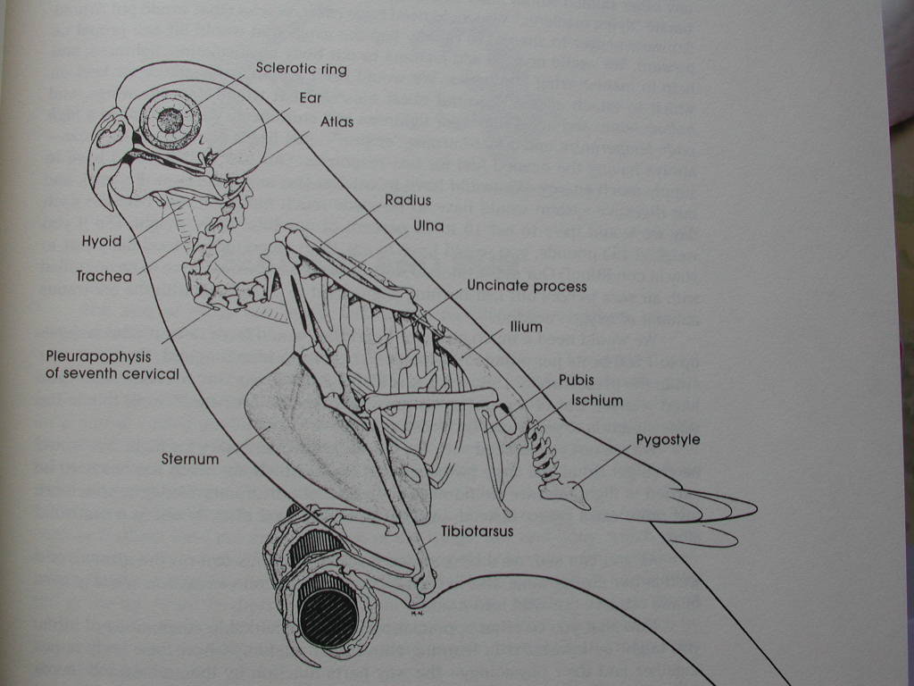 «ö¦¹¦b·sµøµ¡ÂsÄý¹Ï¤ù