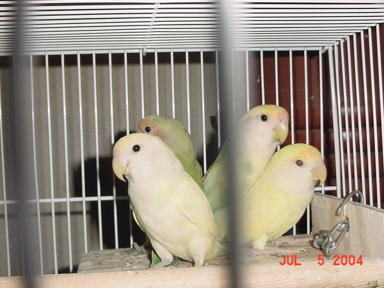 按此在新視窗瀏覽圖片