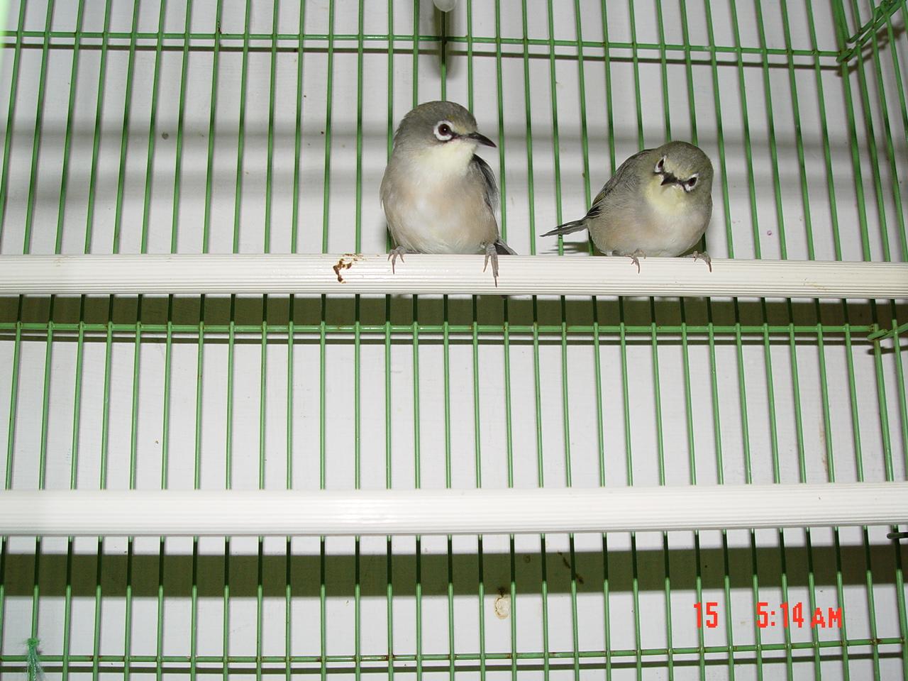 按此在新視窗瀏覽圖片