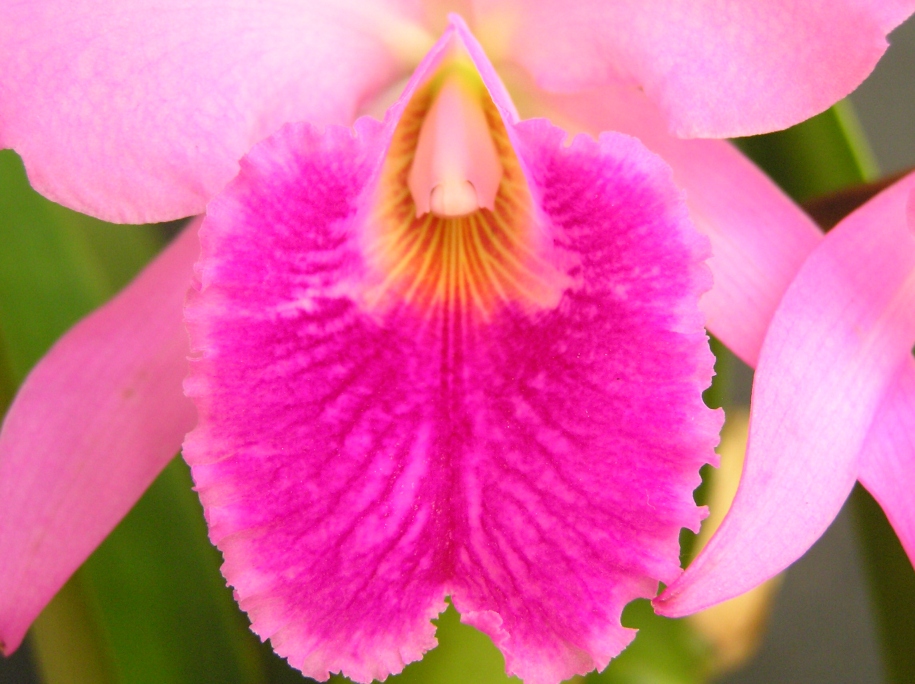 按此在新視窗瀏覽圖片