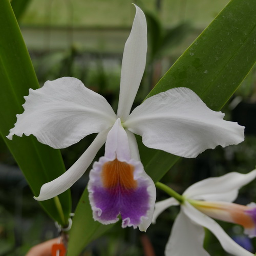 按此在新視窗瀏覽圖片