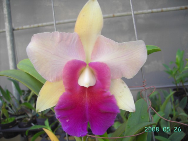 按此在新視窗瀏覽圖片