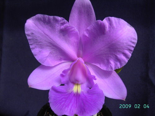 按此在新視窗瀏覽圖片