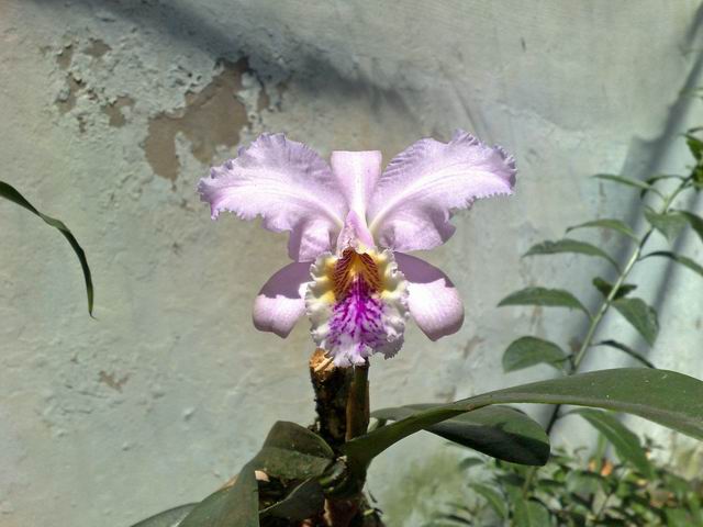 按此在新視窗瀏覽圖片