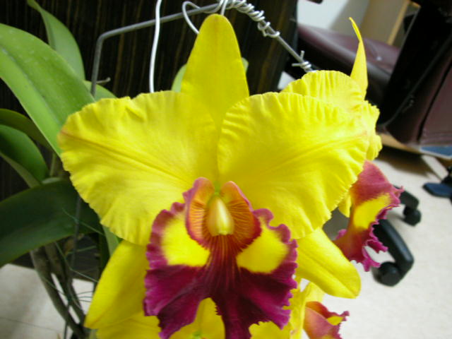 按此在新視窗瀏覽圖片