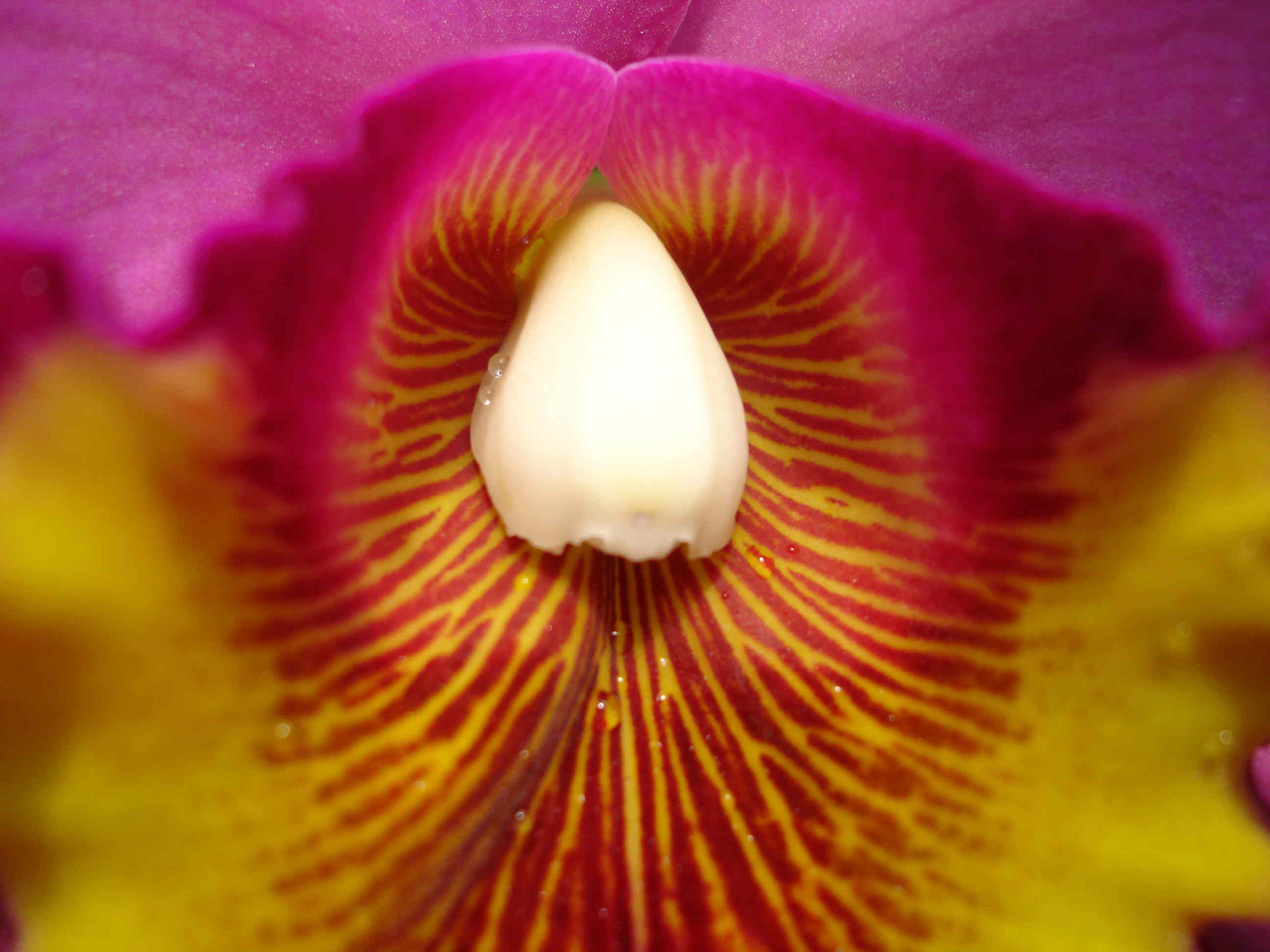 «ö¦¹¦b·sµøµ¡ÂsÄý¹Ï¤ù