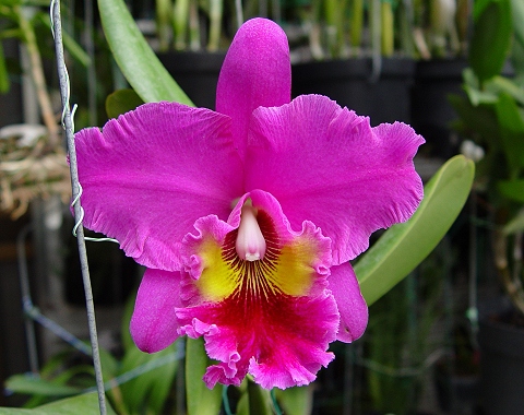 按此在新視窗瀏覽圖片