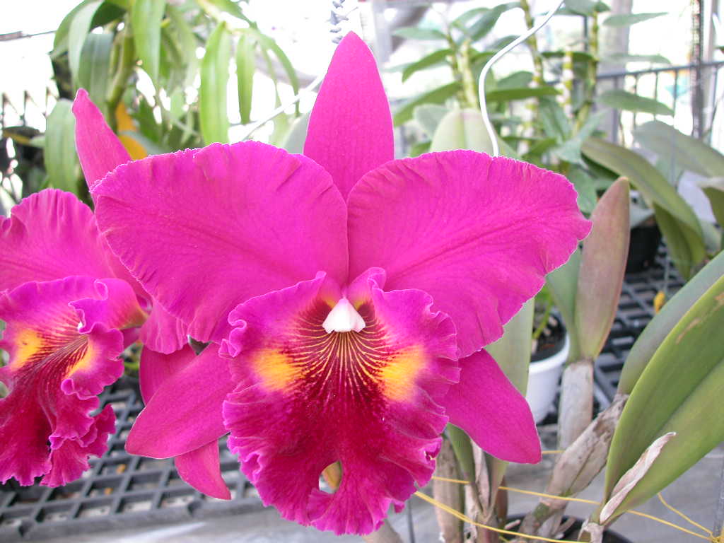 按此在新視窗瀏覽圖片