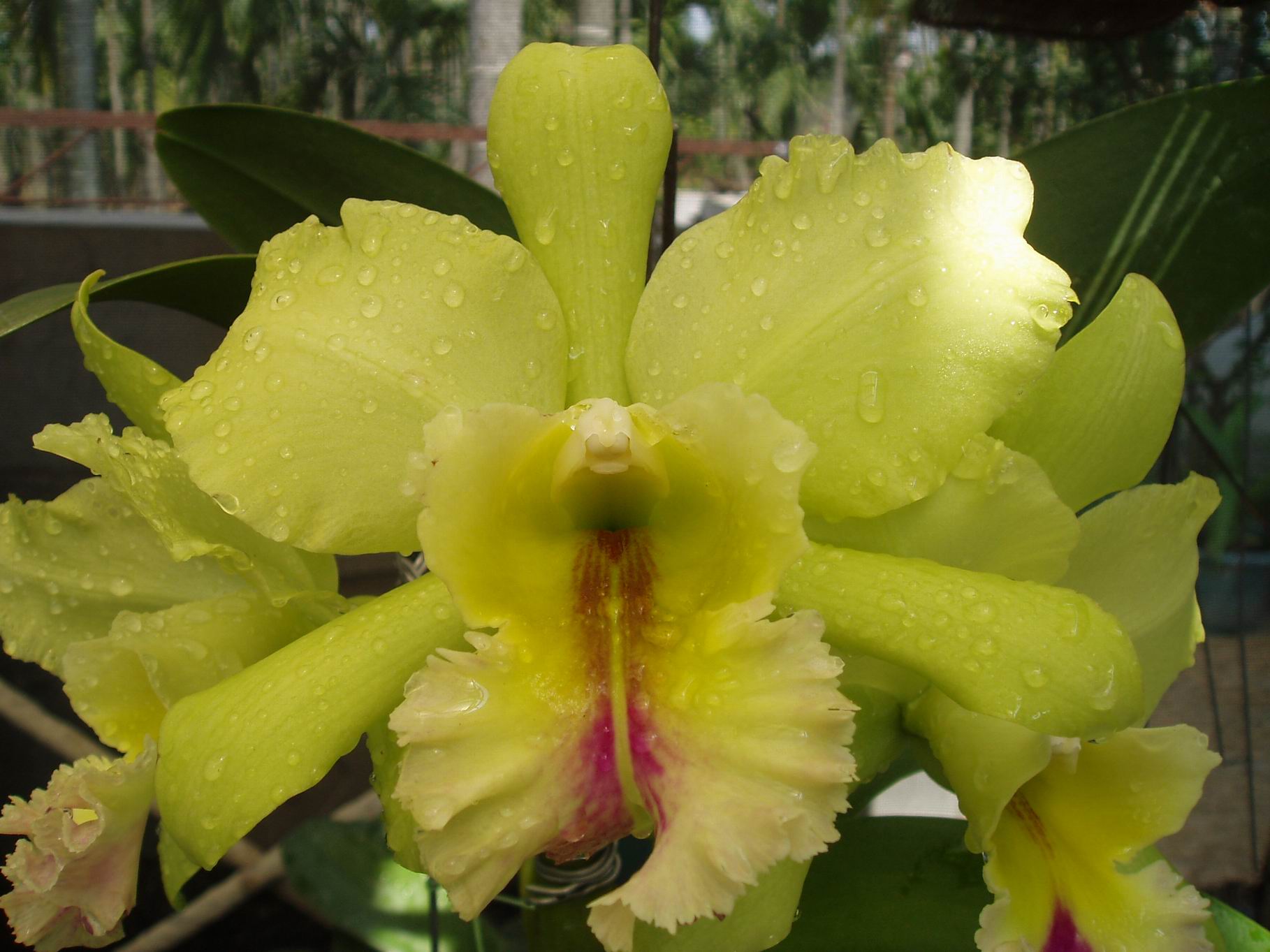 按此在新視窗瀏覽圖片