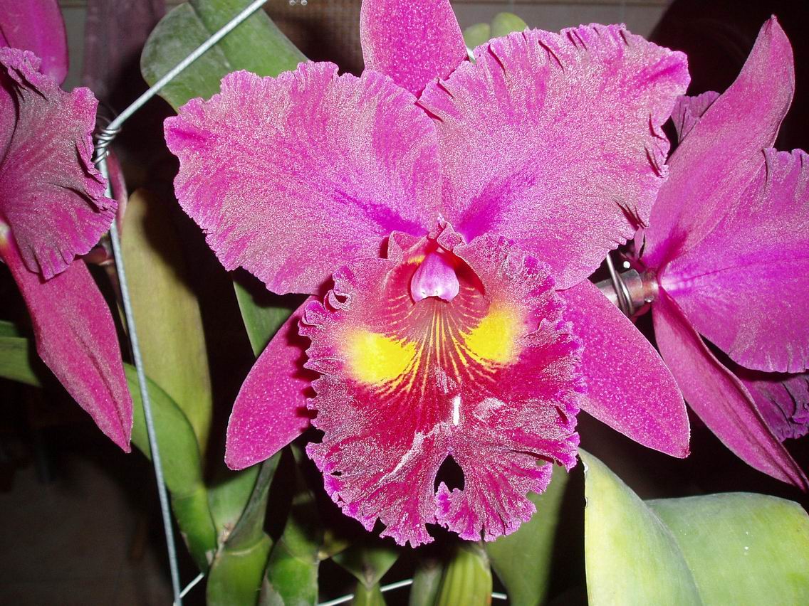 按此在新視窗瀏覽圖片