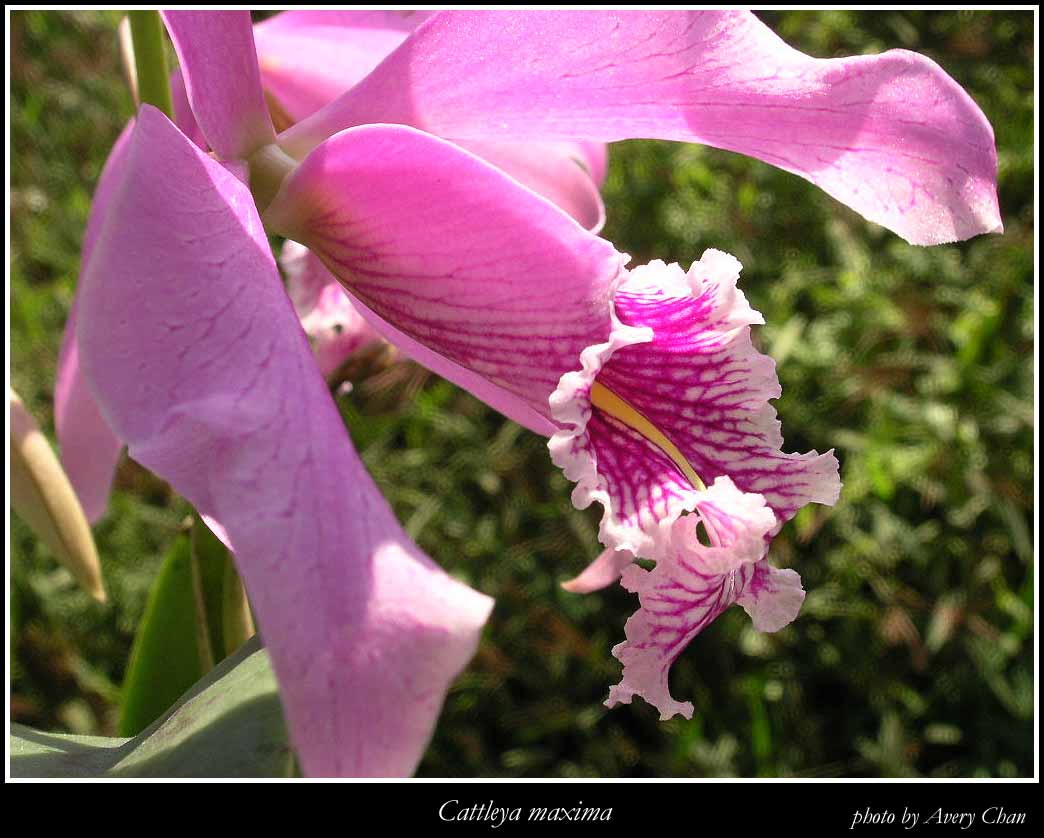 按此在新視窗瀏覽圖片