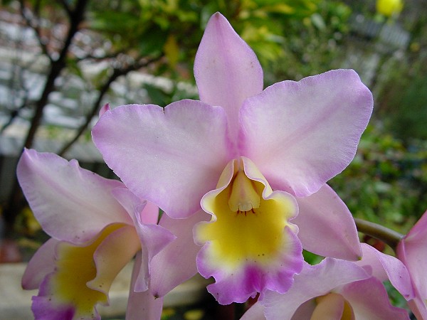 按此在新視窗瀏覽圖片