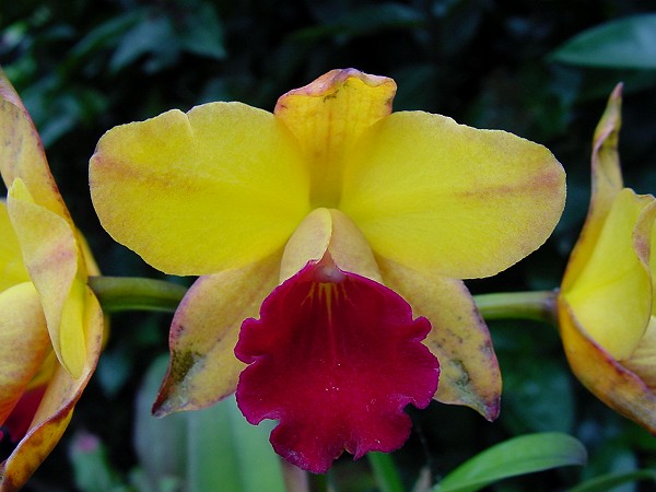 按此在新視窗瀏覽圖片