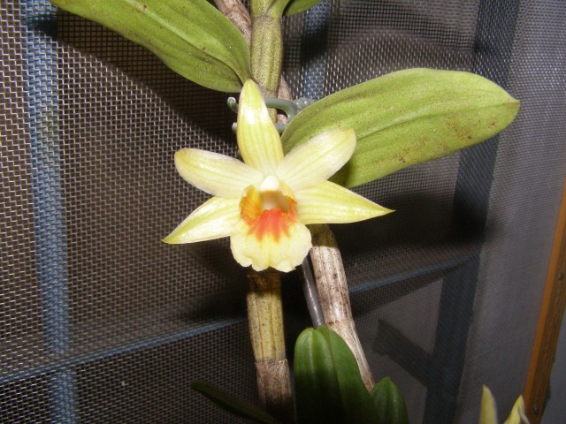 «ö¦¹¦b·sµøµ¡ÂsÄý¹Ï¤ù