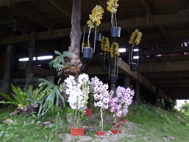 «ö¦¹¦b·sµøµ¡ÂsÄý¹Ï¤ù