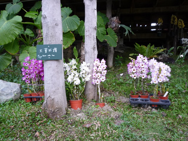 «ö¦¹¦b·sµøµ¡ÂsÄý¹Ï¤ù