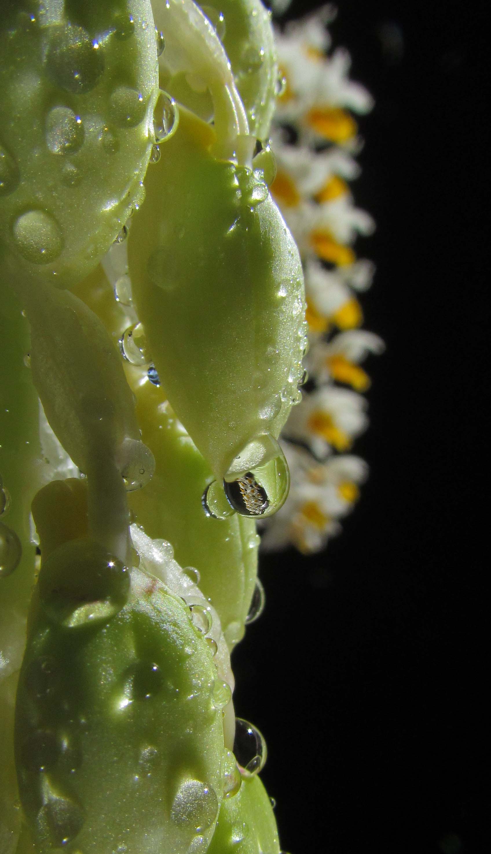 «ö¦¹¦b·sµøµ¡ÂsÄý¹Ï¤ù