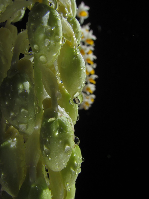 «ö¦¹¦b·sµøµ¡ÂsÄý¹Ï¤ù