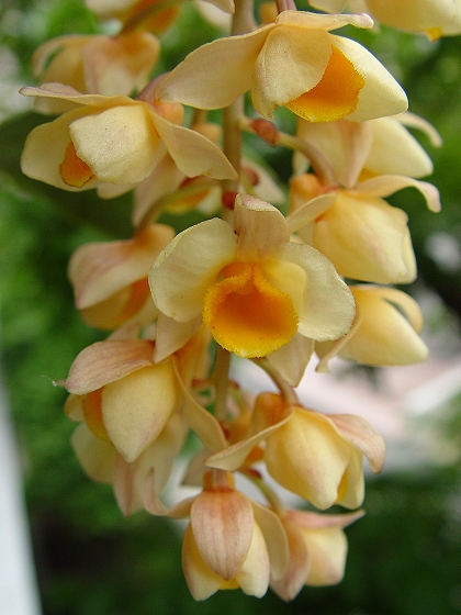 «ö¦¹¦b·sµøµ¡ÂsÄý¹Ï¤ù