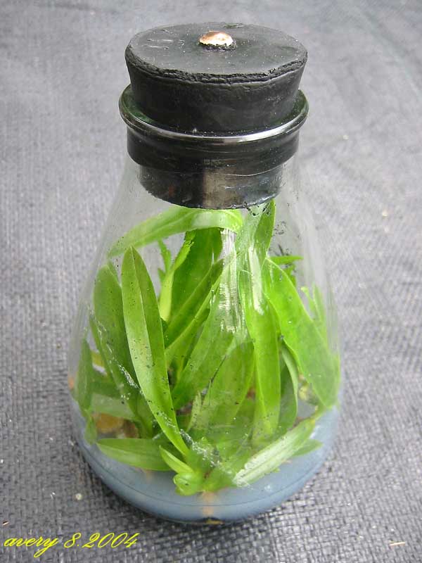 «ö¦¹¦b·sµøµ¡ÂsÄý¹Ï¤ù