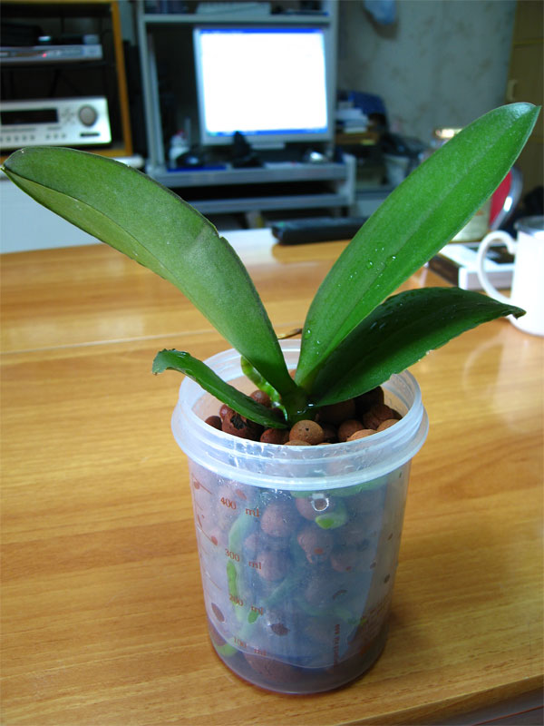 «ö¦¹¦b·sµøµ¡ÂsÄý¹Ï¤ù