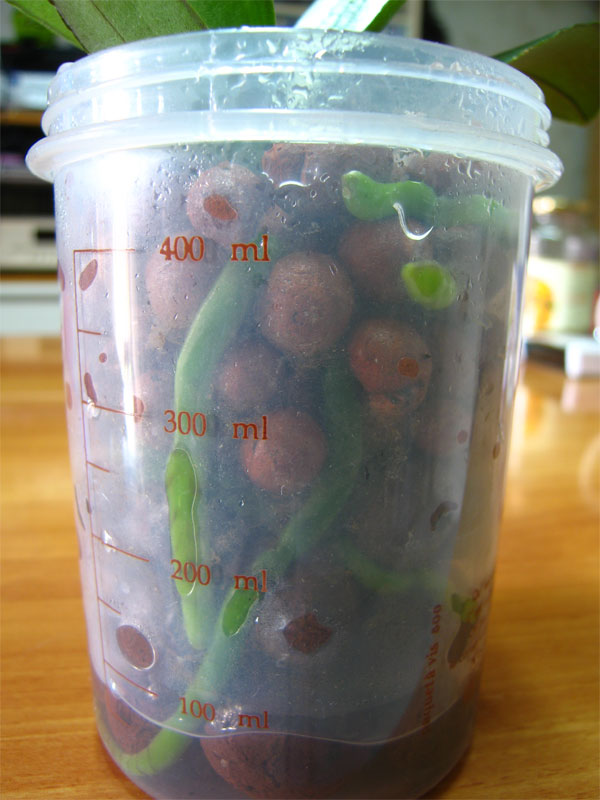 «ö¦¹¦b·sµøµ¡ÂsÄý¹Ï¤ù