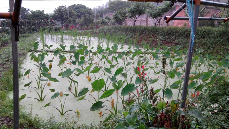 «ö¦¹¦b·sµøµ¡ÂsÄý¹Ï¤ù