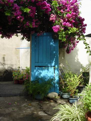 «ö¦¹¦b·sµøµ¡ÂsÄý¹Ï¤ù