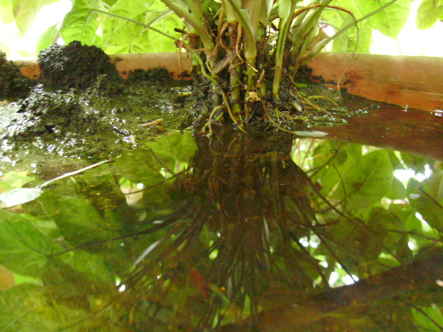 «ö¦¹¦b·sµøµ¡ÂsÄý¹Ï¤ù