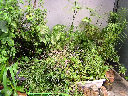 «ö¦¹¦b·sµøµ¡ÂsÄý¹Ï¤ù