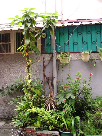 «ö¦¹¦b·sµøµ¡ÂsÄý¹Ï¤ù