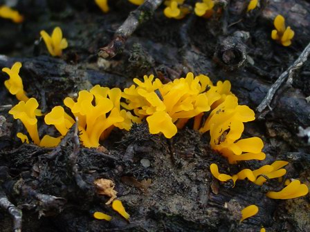 «ö¦¹¦b·sµøµ¡ÂsÄý¹Ï¤ù