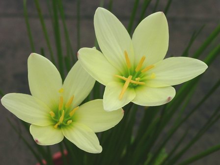 «ö¦¹¦b·sµøµ¡ÂsÄý¹Ï¤ù