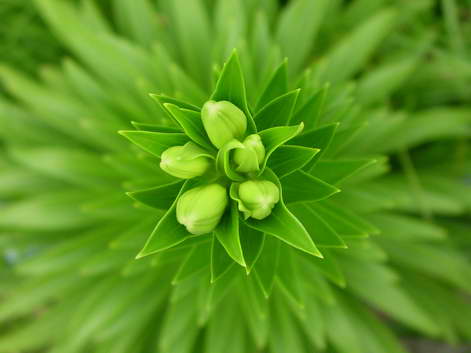 «ö¦¹¦b·sµøµ¡ÂsÄý¹Ï¤ù