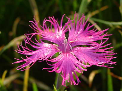 «ö¦¹¦b·sµøµ¡ÂsÄý¹Ï¤ù