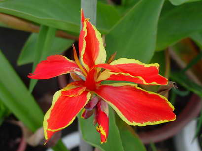 «ö¦¹¦b·sµøµ¡ÂsÄý¹Ï¤ù