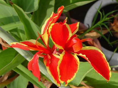 «ö¦¹¦b·sµøµ¡ÂsÄý¹Ï¤ù