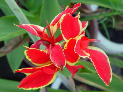 «ö¦¹¦b·sµøµ¡ÂsÄý¹Ï¤ù