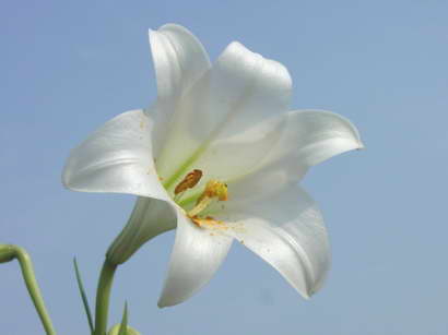 «ö¦¹¦b·sµøµ¡ÂsÄý¹Ï¤ù