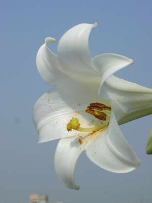 «ö¦¹¦b·sµøµ¡ÂsÄý¹Ï¤ù