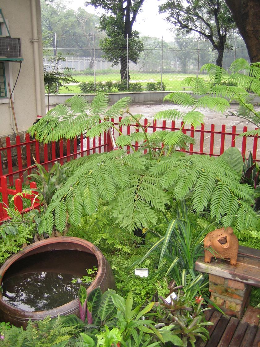 按此在新視窗瀏覽圖片