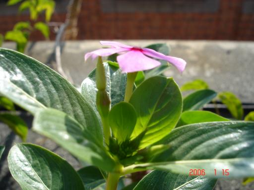 «ö¦¹¦b·sµøµ¡ÂsÄý¹Ï¤ù