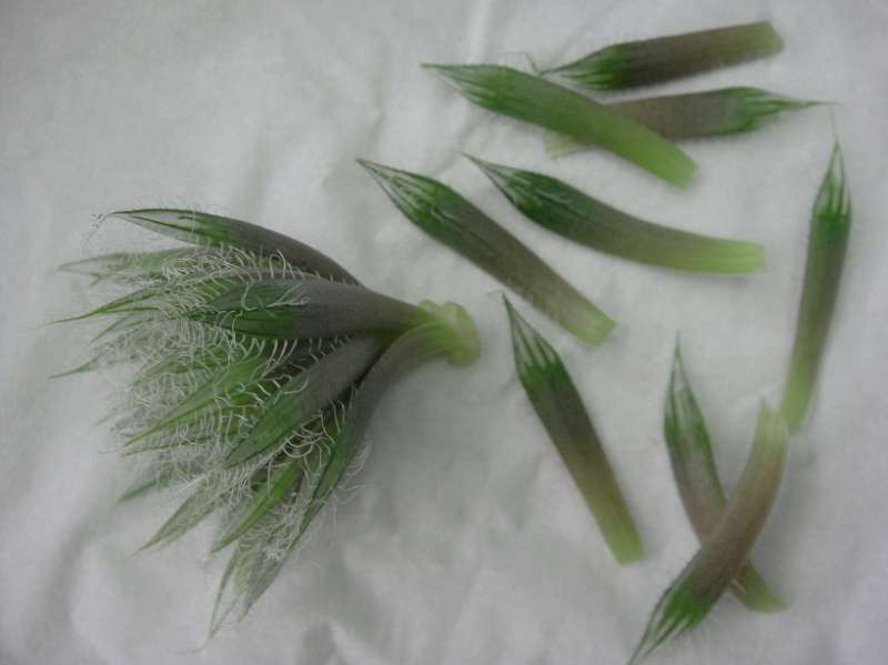 «ö¦¹¦b·sµøµ¡ÂsÄý¹Ï¤ù