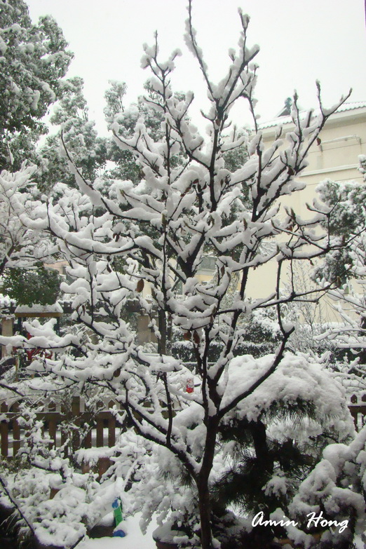 «ö¦¹¦b·sµøµ¡ÂsÄý¹Ï¤ù