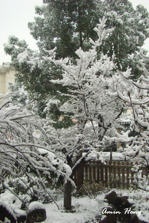 «ö¦¹¦b·sµøµ¡ÂsÄý¹Ï¤ù