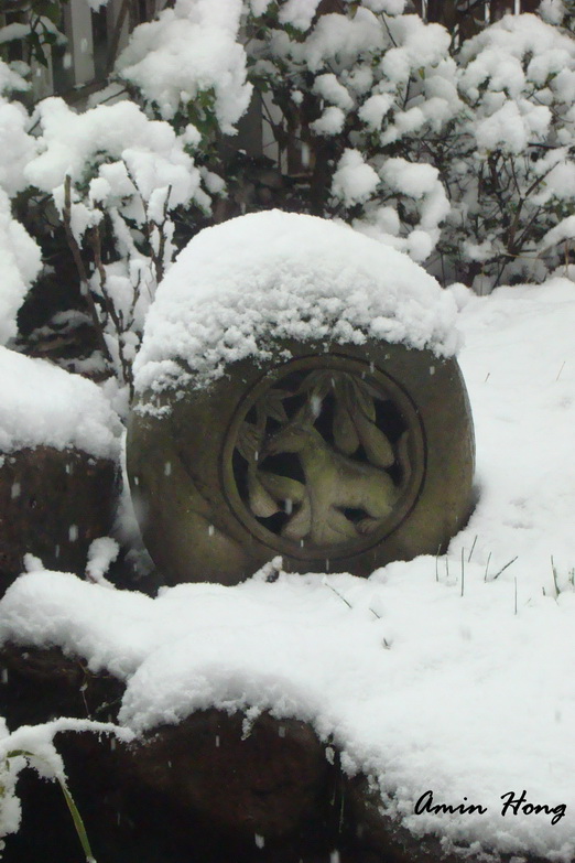 «ö¦¹¦b·sµøµ¡ÂsÄý¹Ï¤ù